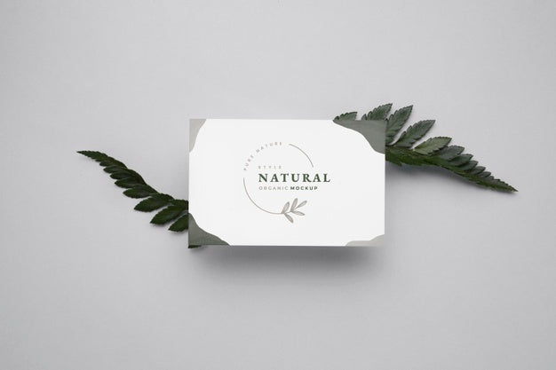 Top View Natural Frame With Mock-Up Psd