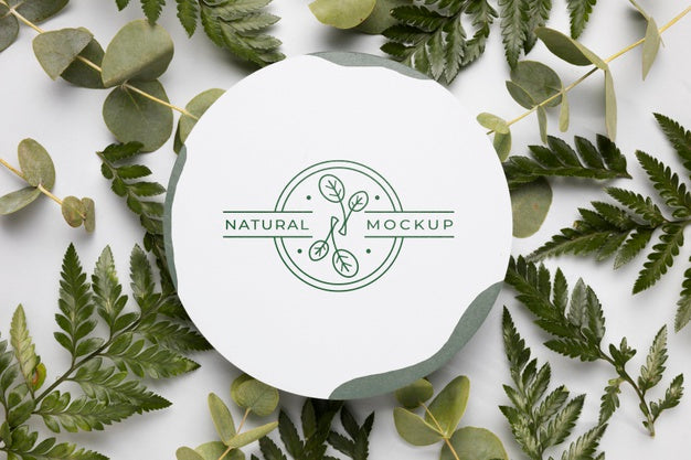 Top View Natural Mock-Up With Leaves Psd