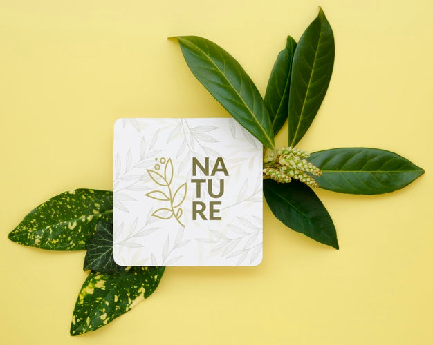 Top View Nature Frame With Botanic Leaves Psd
