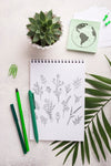 Top View Notebook Mock-Up And Stationery Near Succulent Plant Psd