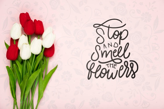 Top View Of Beautiful Spring Tulips Psd