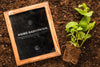 Top View Of Blackboard On Soil With Plant And Roots Psd
