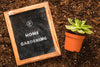Top View Of Blackboard On Soil With Plant Psd