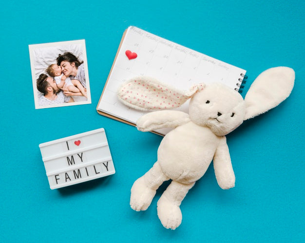 Top View Of Bunny With Notebook And Photos Psd
