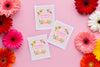 Top View Of Daisies With Cards Mock-Up Psd