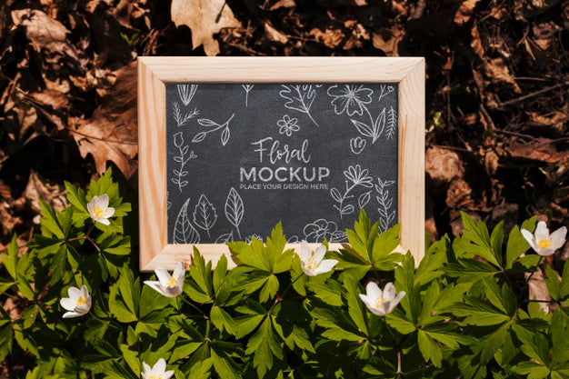 Top View Of Frame Mock-Up With Leaves And Vegetation Psd