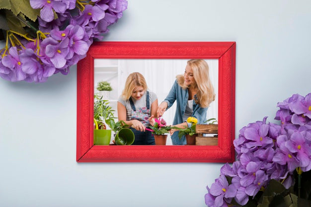 Top View Of Frame With Spring Phlox Psd