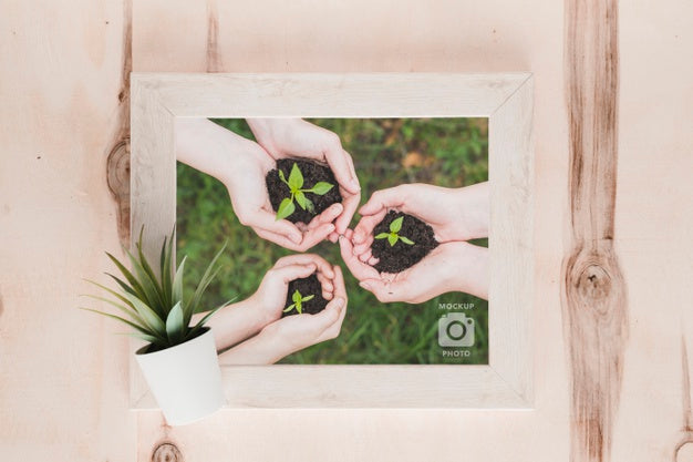 Top View Of Frame With Succulent Plant Psd