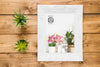 Top View Of Frame With Succulents Psd