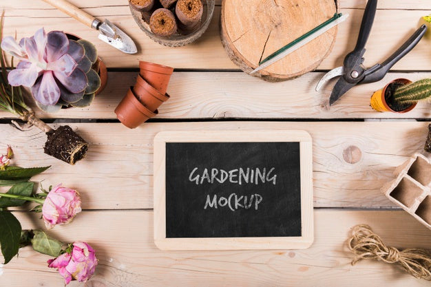 Top View Of Gardening Concept Mock-Up Psd