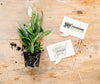 Top View Of Gardening Concept Mock-Up Psd