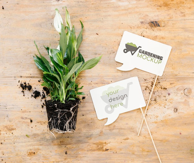 Top View Of Gardening Concept Mock-Up Psd