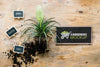 Top View Of Gardening Concept Mock-Up Psd