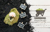 Top View Of Gardening Concept Mock-Up Psd