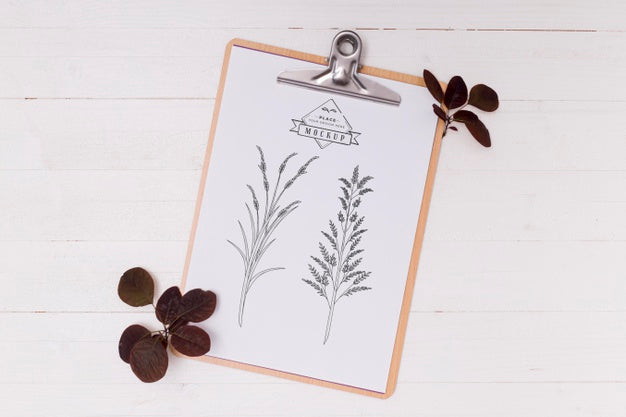 Top View Of Leaves Concept Mock-Up Psd