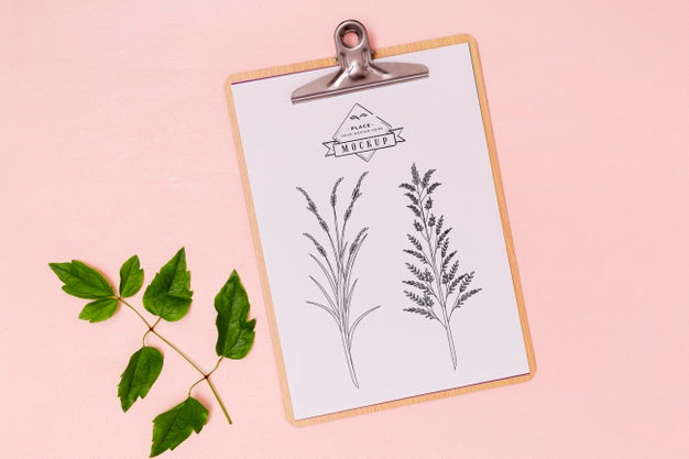 Top View Of Leaves Concept Mock-Up Psd