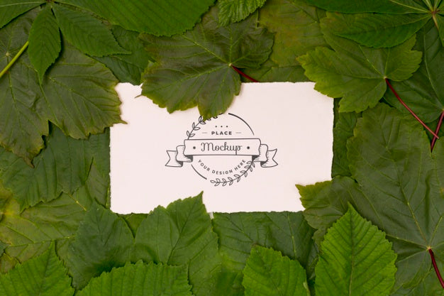 Top View Of Leaves Concept Mock-Up Psd