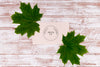 Top View Of Leaves Concept Mock-Up Psd