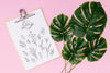 Top View Of Leaves Concept Mock-Up Psd