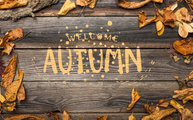 Top View Of Leaves On Wooden Table Psd