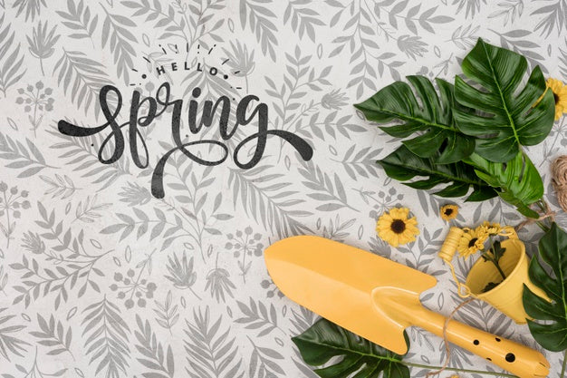 Top View Of Monstera Leaves With Trowel Psd