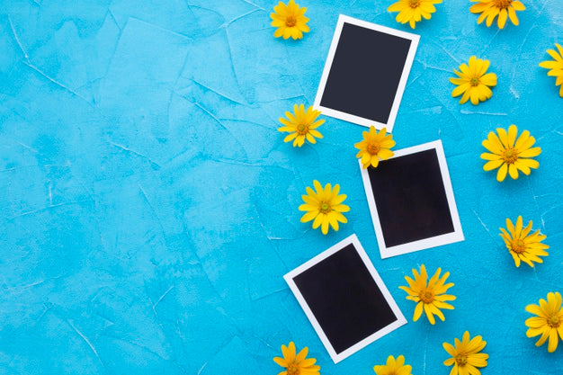 Top View Of Photographs With Yellow Chamomile And Copy Space Psd