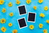 Top View Of Photographs With Yellow Chamomile Psd