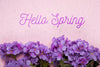 Top View Of Purple Phlox Flowers Psd