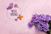 Top View Of Purple Spring Phlox Psd
