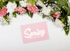 Top View Of Spring Carnations Psd