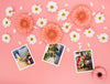 Top View Of Spring Daisies With Photos Psd