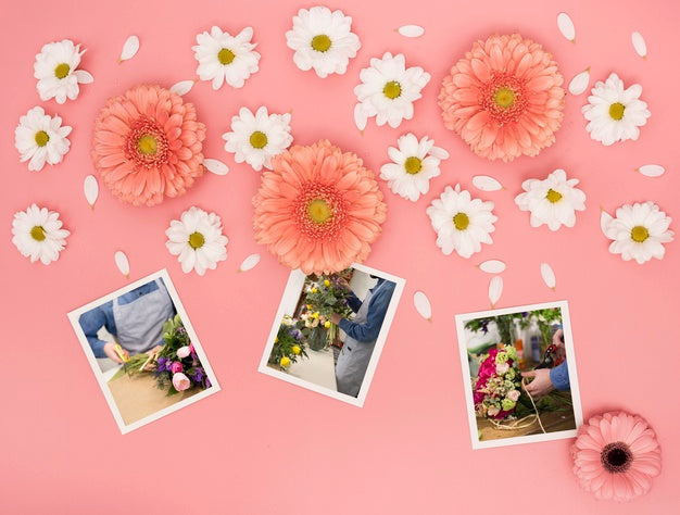 Top View Of Spring Daisies With Photos Psd