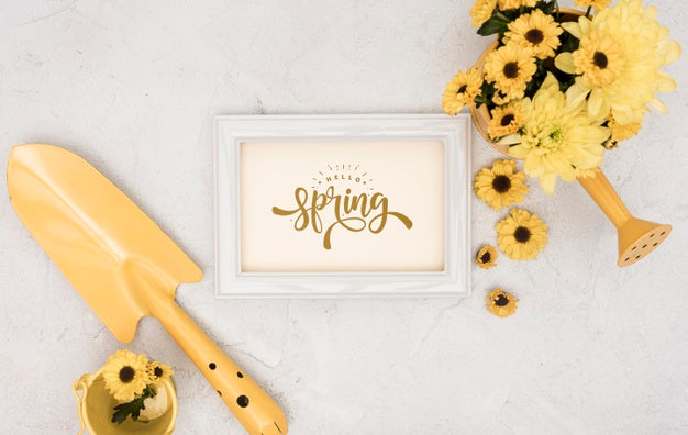 Top View Of Spring Gerbera With Frame And Watering Can Psd