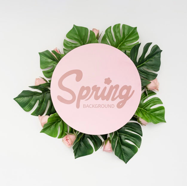 Top View Of Spring Roses With Monstera Plant Psd