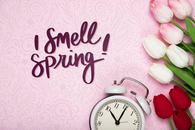 Top View Of Tulips And Clock Psd