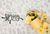 Top View Of Yellow Spring Flowers In Watering Can Psd