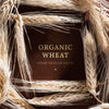 Top View Organic Wheat With Mock-Up Psd