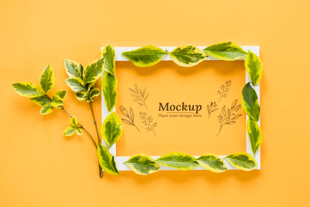 Top View Plant With White Frame Psd