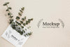 Top View Plants In Envelope Psd