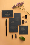 Top View Stationery And Plant Psd