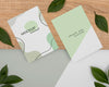 Top View Stationery Leaves And Wooden Piece Psd