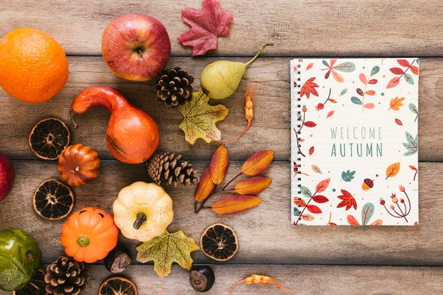 Top View With Autumn Natural Decoration Psd