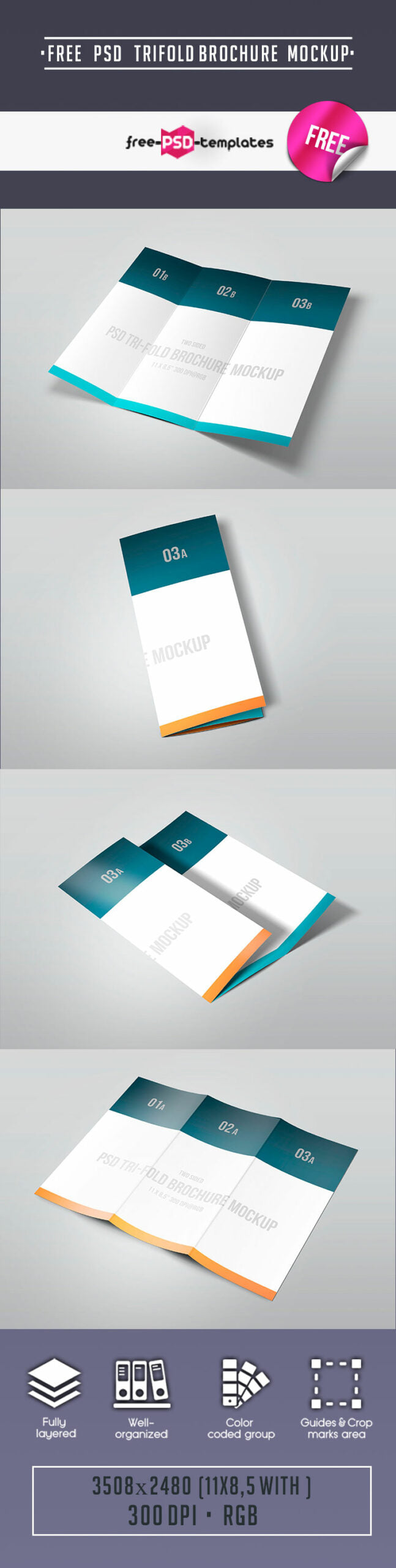 Tri-Fold Mockup Psd Template