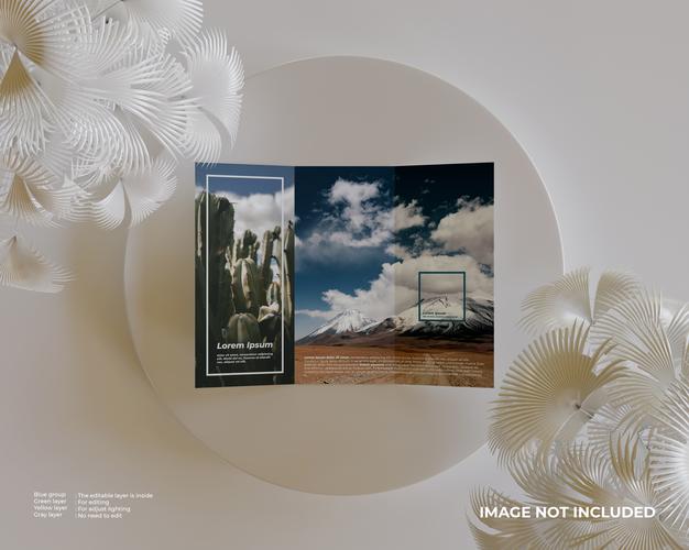 Trifold Brochure Mockup With Podium And White Plant On Side Looks Top View Psd