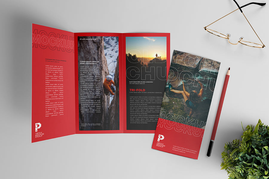 Trifold Brochure Mockup