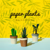 Tropical Paper Cacti Plants With Pots Background Psd