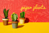 Tropical Paper Cacti Plants With Pots Psd
