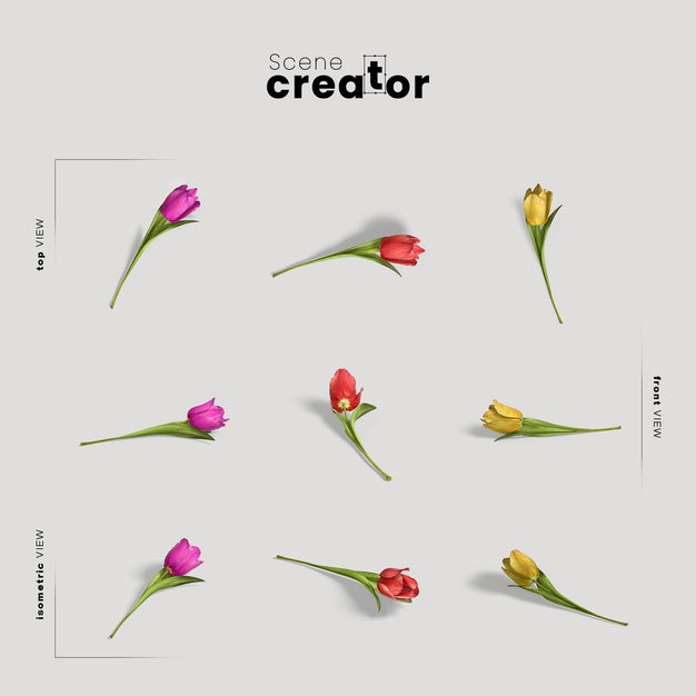 Tulip Flowers View Of Spring Scene Creator Psd