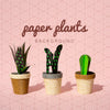 Various Paper Plants In Pots Background Psd