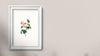 White Picture Frame Hanging On A Wall Illustration Psd